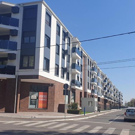 Apartment Mona Βελιγράδι Εξωτερικό φωτογραφία